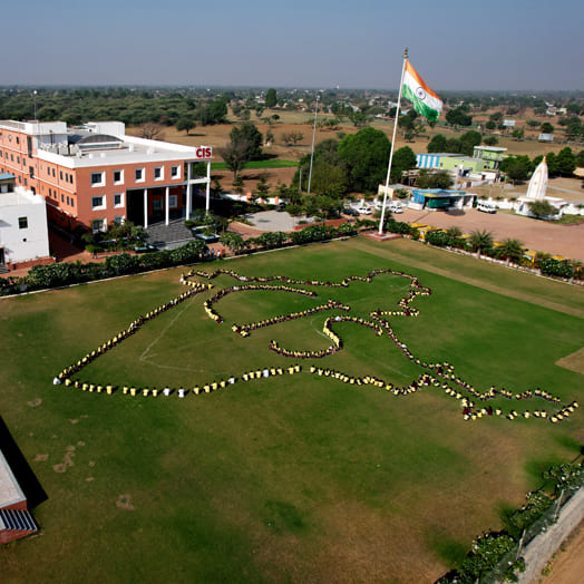curriculum-image