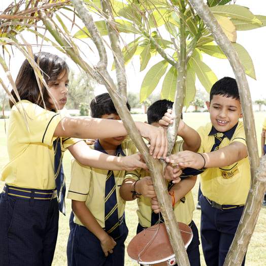curriculum-image